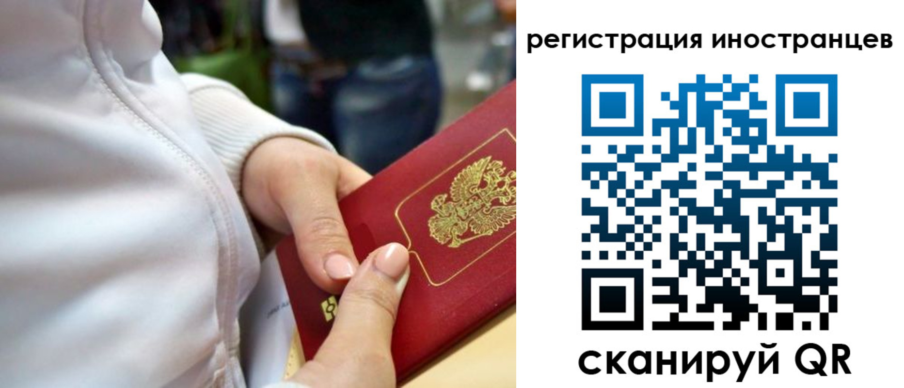 прописка паспорт в Вологде